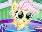 Schwangere Pony Untersuchung