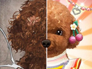 Haustier Make-up Meister